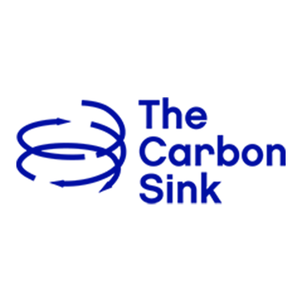 the_carbon_sink