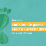 Estrategias para reducir tu huella de carbono