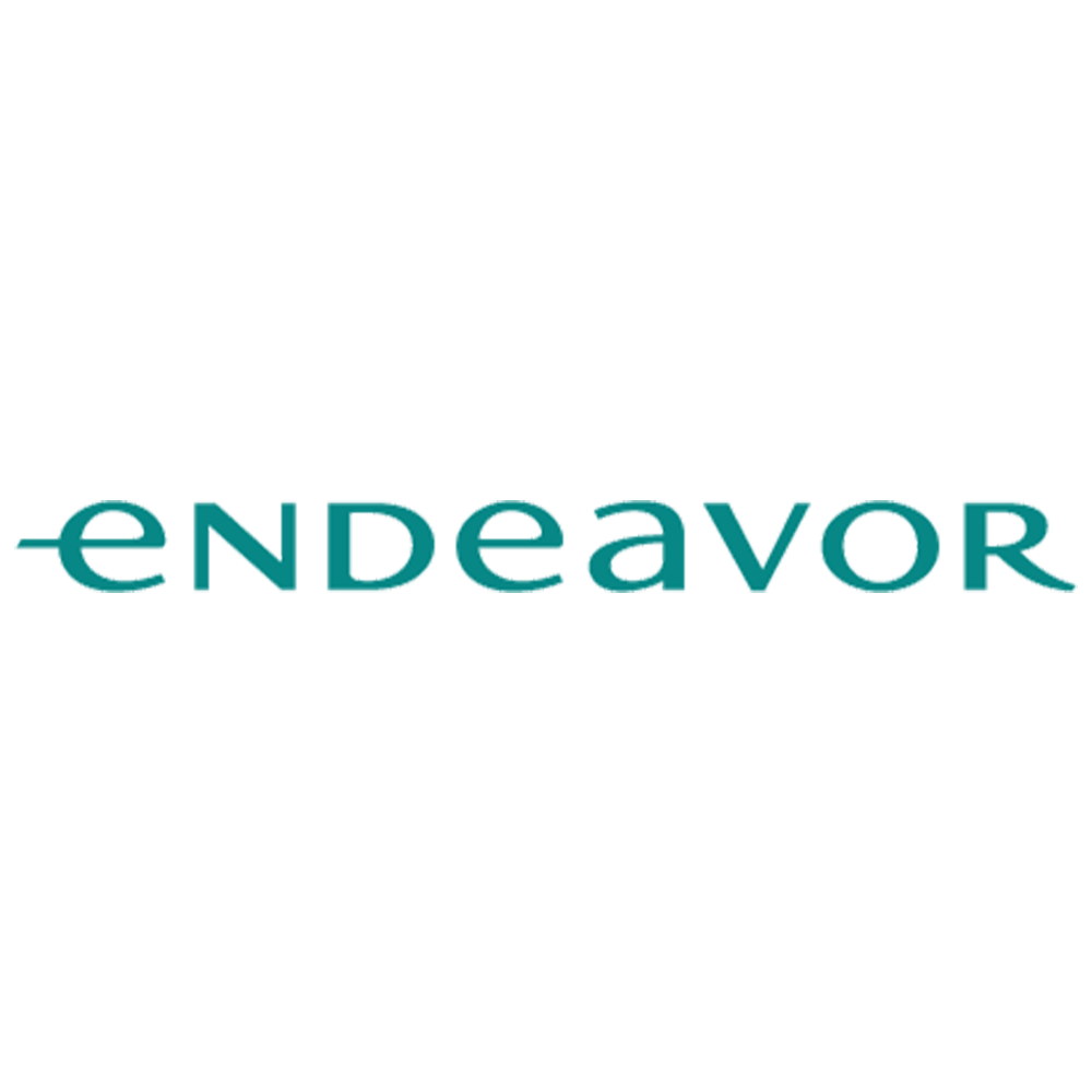 endeavor